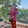 ketthuclaxong.198x