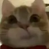 snkissedksn