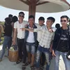 tl.media.vn