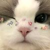 itsdahlia01