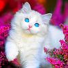 user024478065