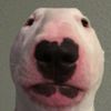 thegianthorseecock
