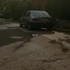 rlxcort