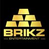brikz876