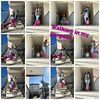 crissy_cancerqueen