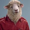a_world_of_sheeple