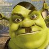 viral.videos.comp