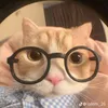 bincute773