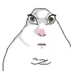 momotschimg