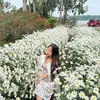 ngocdiep03_