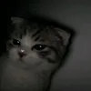 mnchll__
