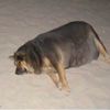 sleepygirl384
