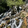 rafal_744