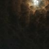 username100220