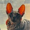 trippy.sphynx