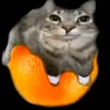 txmmyy.exe