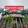 Thảo buôn sỉ lẻ  quảng châu
