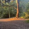 heyitsshahan