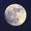 sxndyxx10