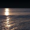 fahad_altamimi7