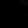 lennart_mlr