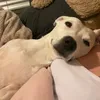 uh..chloe_
