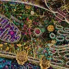 evil_neurotransmitter