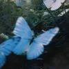 naser65_