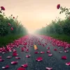 alardawyalhusainy