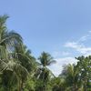 onlyincebu_