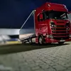 cvjeticc95