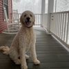 joyfulhomesllc