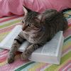 animalsgivejoy