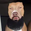 pablo_banglabar
