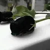 rachelfer0