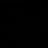 rir__9
