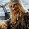 chewbaccaa10