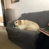 jackthegoat88