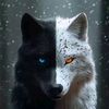 black_wolf356