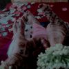 sadia.mukta31