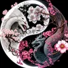 baonho668668