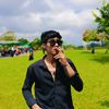 alip_ds