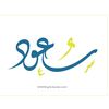 ssaoud_85