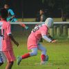 reflin_esa28