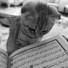 al_hanafiyahh