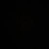gusison_