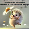irinkamalinka165