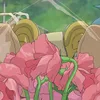 miamoties