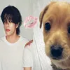 sim_lau
