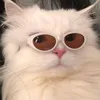 florninparahili
